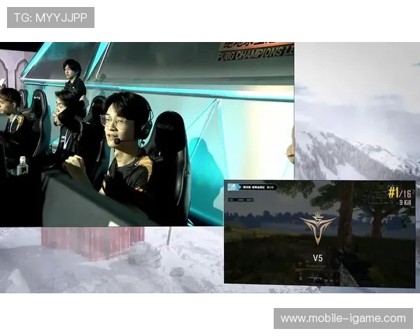 V5战队在精英赛中以73分稳居积分榜首位，展现强劲实力