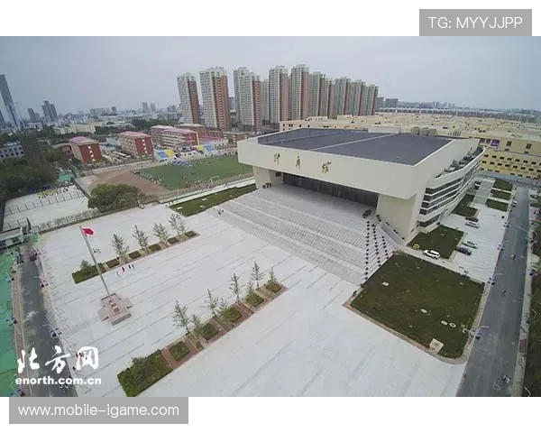 上海乒乓球队的节奏与魅力探秘：从训练到比赛的全景观察