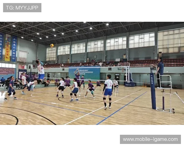 北京排球队阵地战分析：优劣势及未来发展方向探讨